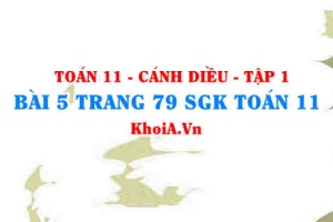 Bài 5 trang 79 SGK Toán 11 tập 1 Cánh Diều